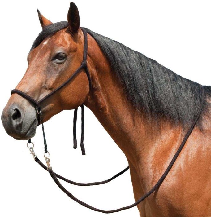 Bitless Bridle With 9ft. Flat Braided Stagecoach West - The Reins