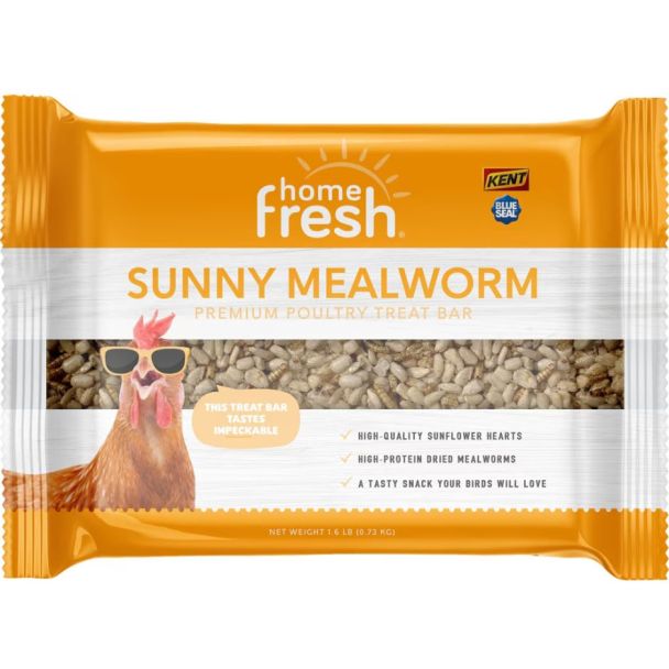 Home fresh Sunny Mealworm Treat Bar - 1.6lbs