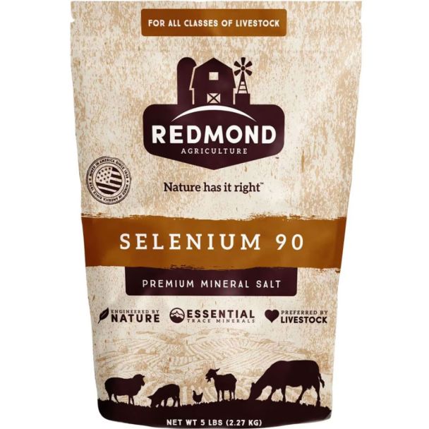 Redmon Selenium 90 Mineral Salt