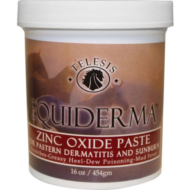 Equiderma Zinc Oxide Paste For Dermatitis &amp; Sunburn