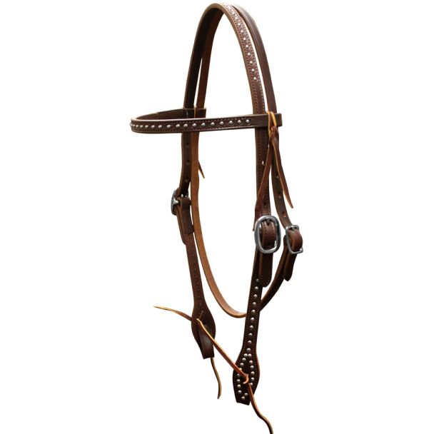 Spotted Browband