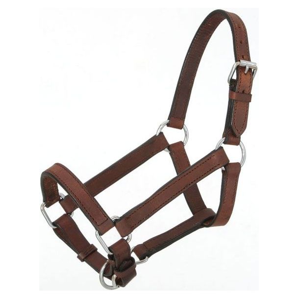 Royal King Miniature Leather Halter