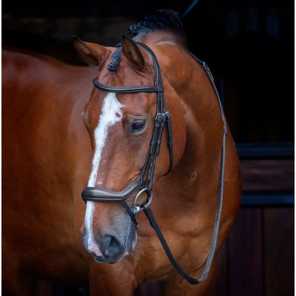 Velociti Ergonomic Flash Bridle