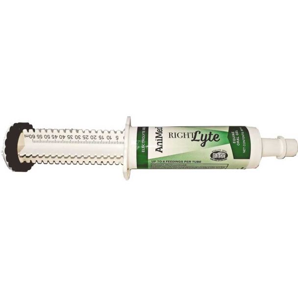 Animed Right Lyte Electrolyte Oral Gel - 60ml