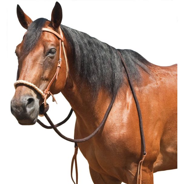 Mustang Manufacturing Breaking Hackamore
