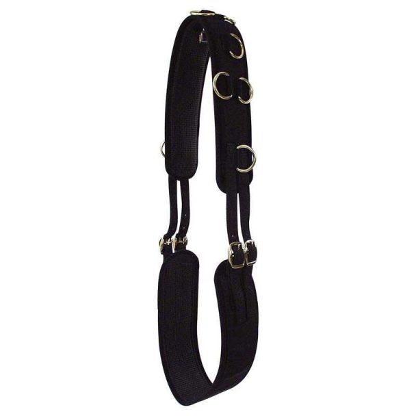 Surcingle with PVC Liner