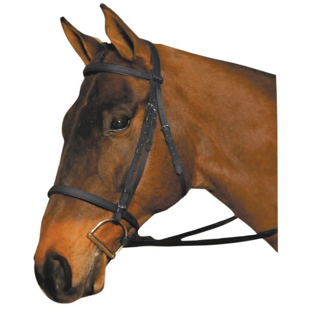 Wintec Bridle