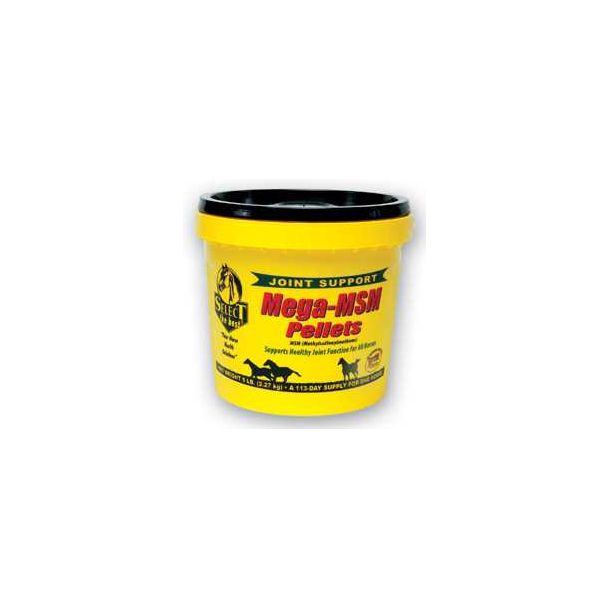 Mega MSM Pellets 5 lb
