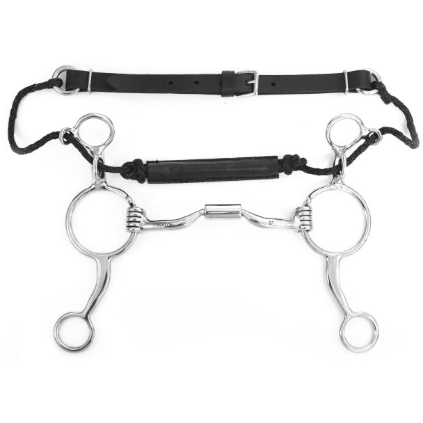 Western Combination Low Port Barrel Bit w/ Leather Noseband