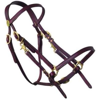 Halter Bridle Lite - Horse