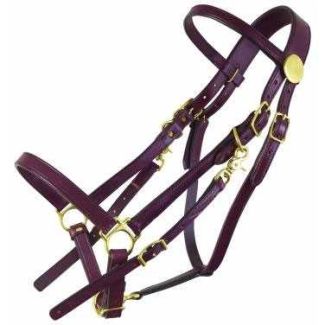Standard Halter Bridle – Large Horse