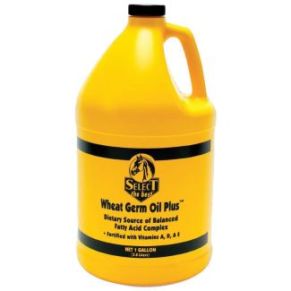 Wheat Germ Oil Plus Gallon