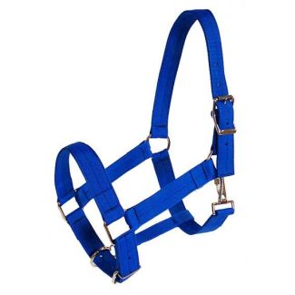 Draft Halter