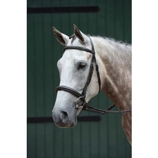 Essential Padded Raised Fancy Stitched Cavesson Bridle&nbsp;