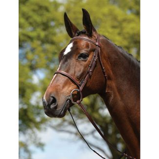 Kincade Raised Fancy Stitched Bridle