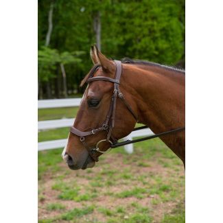 Henri de Rivel Pro Anatomical Bridle