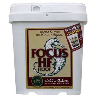 Focus HF, 3.5lb