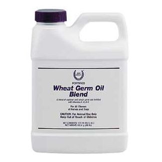Fortified Wheat Germ Oil Blend Gallon