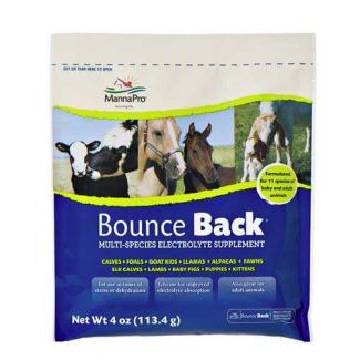 Bounce Back 4 Oz Single Serve Pouch