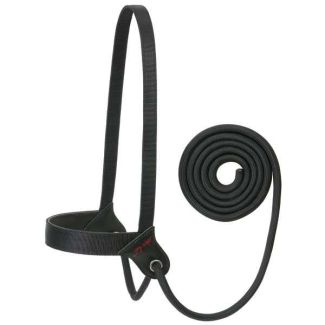 Stacy Westfall Catch Halter, Average