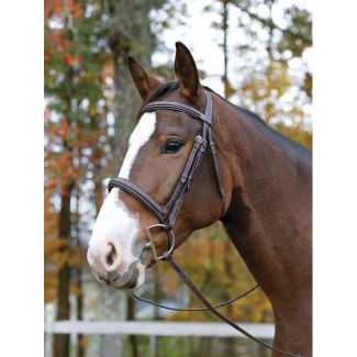 Avignon Ocala Bridle