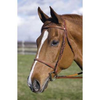 Henri De Rivel Pro Fancy Raised Bridle W/ Laced Reins