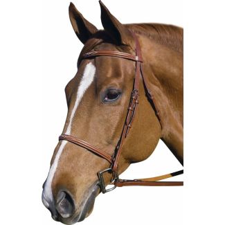 Henri de Rivel Pro Fancy Raised Bridle With Laced Reins