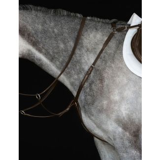 Collegiate Hunter Breast Plate IV &nbsp;