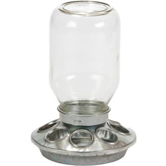 Little Giant Baby Chick Feeder With Mason Jar