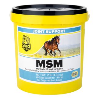 MSM Powder Joint Support