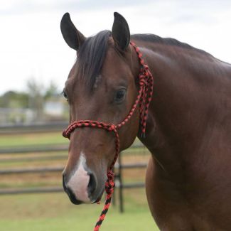 Professional's Choice Equisential Rope Halter