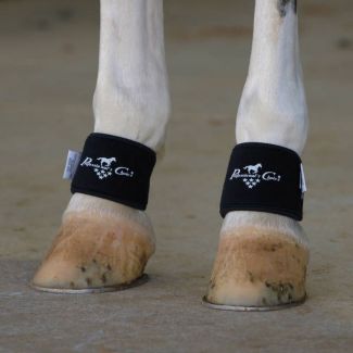 Professional's Choice 2XCool Pastern Wrap