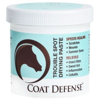 Coat Defense Trouble Spot Drying Paste 16oz