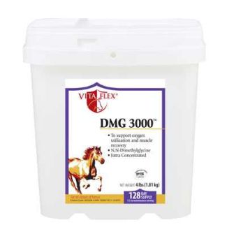 DMG 3000 4lbs