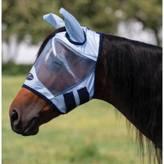 Flyscreen Without Nose
