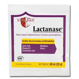 Lactanese Packets 25 mg