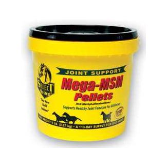 Mega MSM Pellets 5 lb