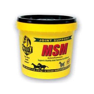 Select MSM 10 lb 