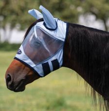 Flyscreen Without Nose