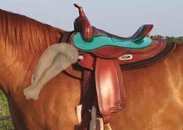 Saddle Placement